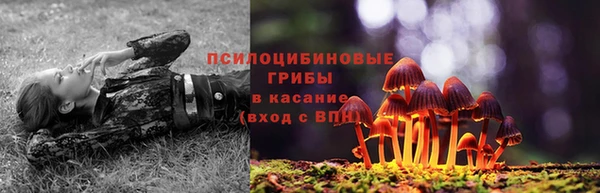 Альфа ПВП Усмань